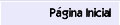 Página Principal